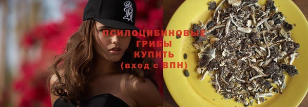 spice Балахна