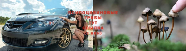 кокс Баксан