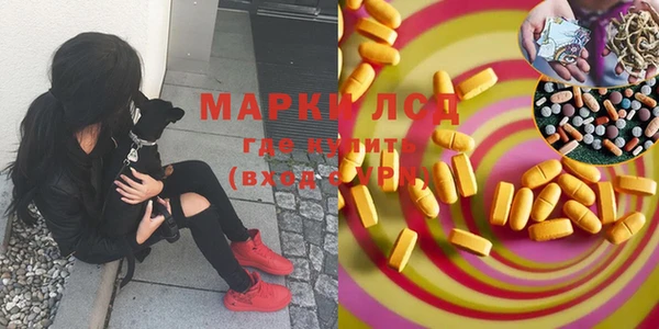 spice Балахна