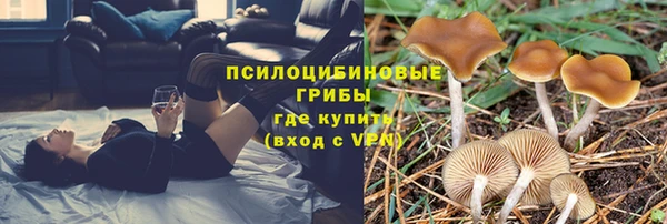 кокс Баксан