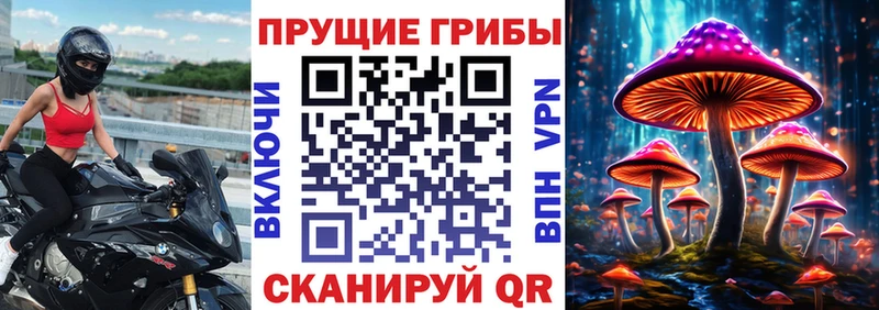 купить наркотик  Кунгур  Галлюциногенные грибы Psilocybine cubensis 