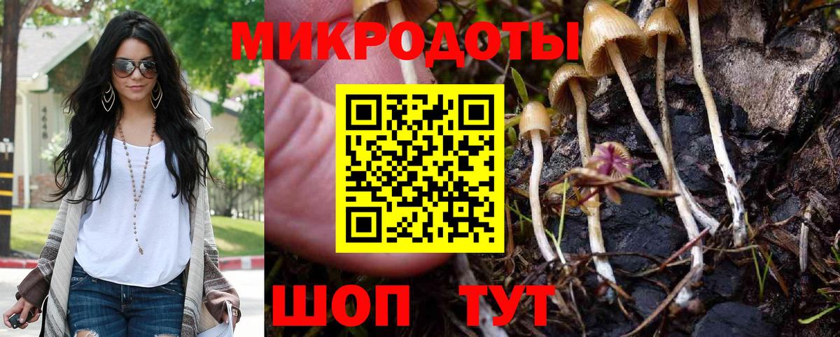 Псилоцибиновые грибы Cubensis Кунгур