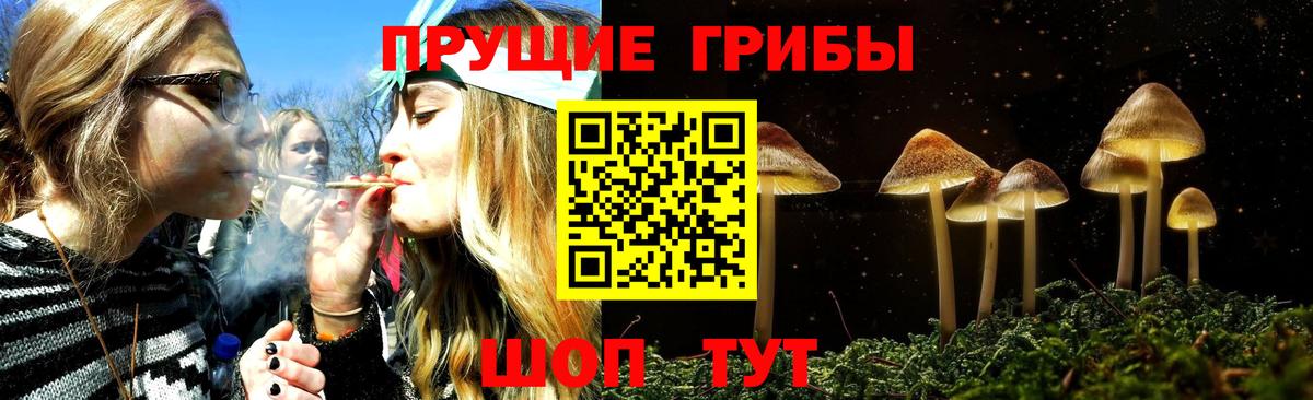 Кунгур  Галлюциногенные грибы Psilocybine cubensis  Вход с VPN 
